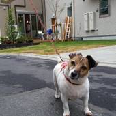 TOKYO GUEST HOUSE 2020（東京都 ゲストハウス・ホステル・ドミトリー） / 4