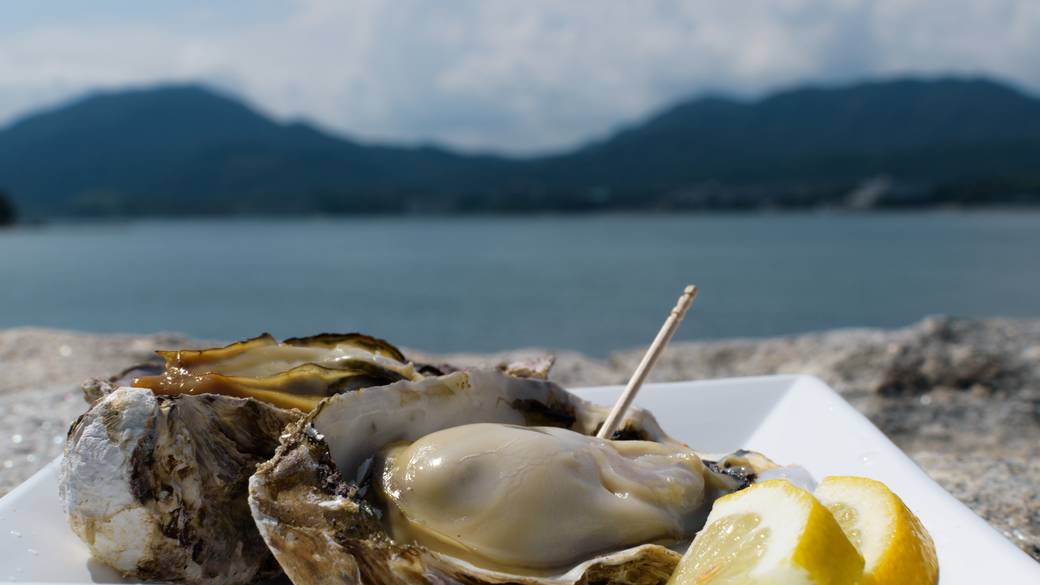 生牡蠣　広島県の名産品 / 4