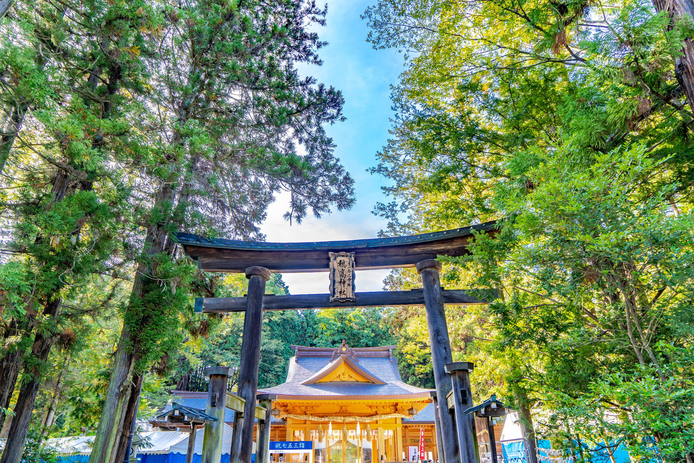 穂高神社 神楽殿 鳥居