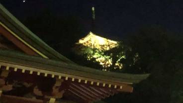 観光スポット / 38