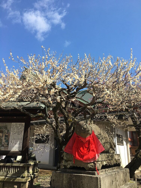 施設からの眺望