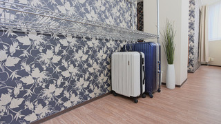 ラグジュアリー ドミトリー ルーム 男女共用 二段ベッド 2名分 (ペット不可)