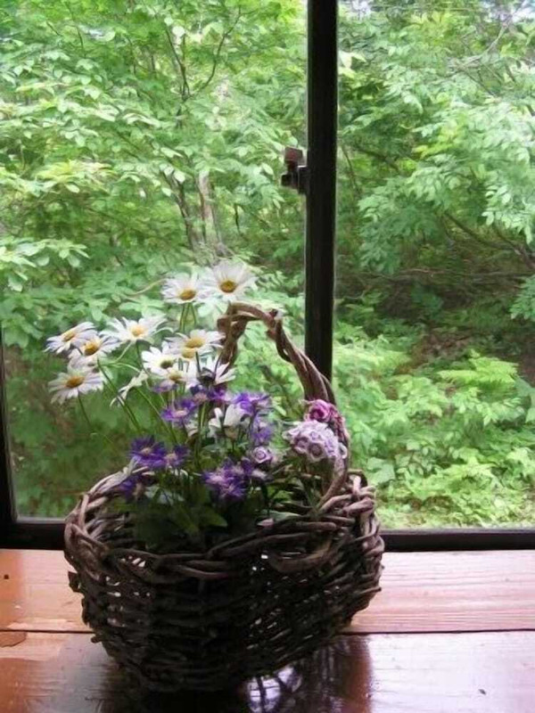 施設からの眺望