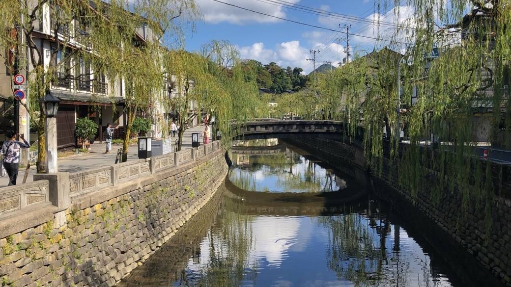 川沿いの柳並木 / 1