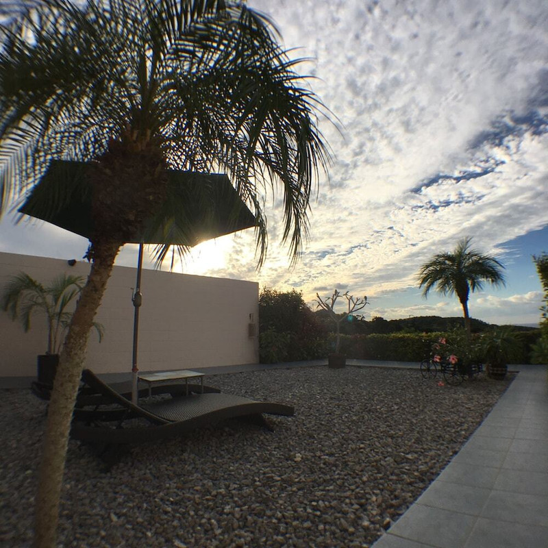 テラス / パティオ