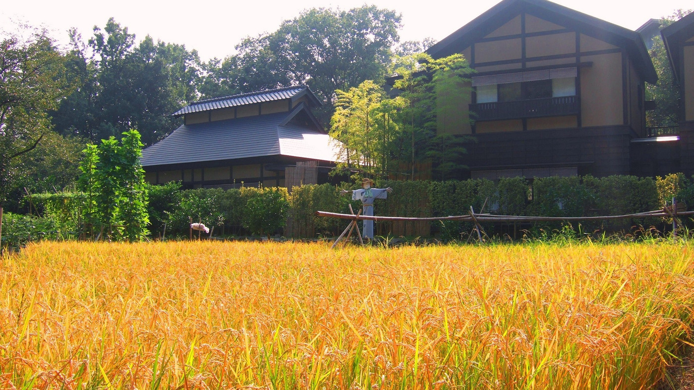3カ所の貸切風呂が無料♪広大な敷地の里山旅館4244246