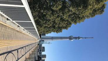 観光スポット / 23