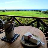 タカクラフトウ（タカクラフトウ）