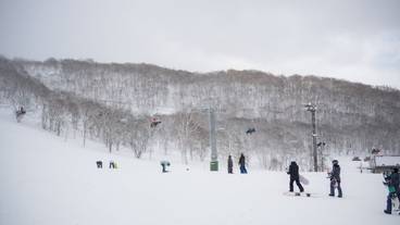 観光スポット / 20