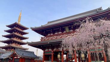 ショッピングモール / 5