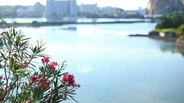 部屋からの景観 / 18