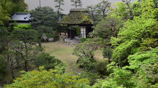 和室 庭園側 禁煙 [10畳~]