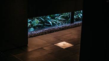 内部エントランス / 2