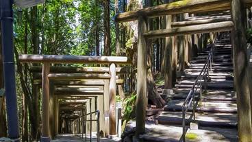 ハイキング / 14