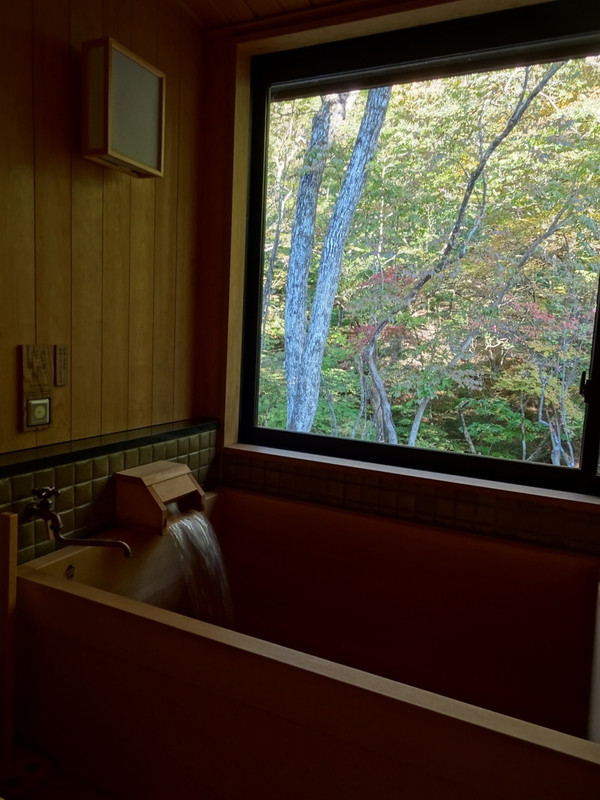 温泉は最高です、部屋風呂なので自由にはいれるのがいいです。