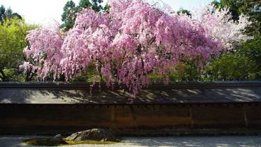 観光スポット / 15