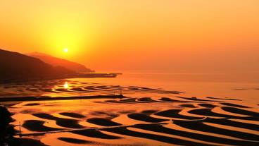 ランド ビュー / 12