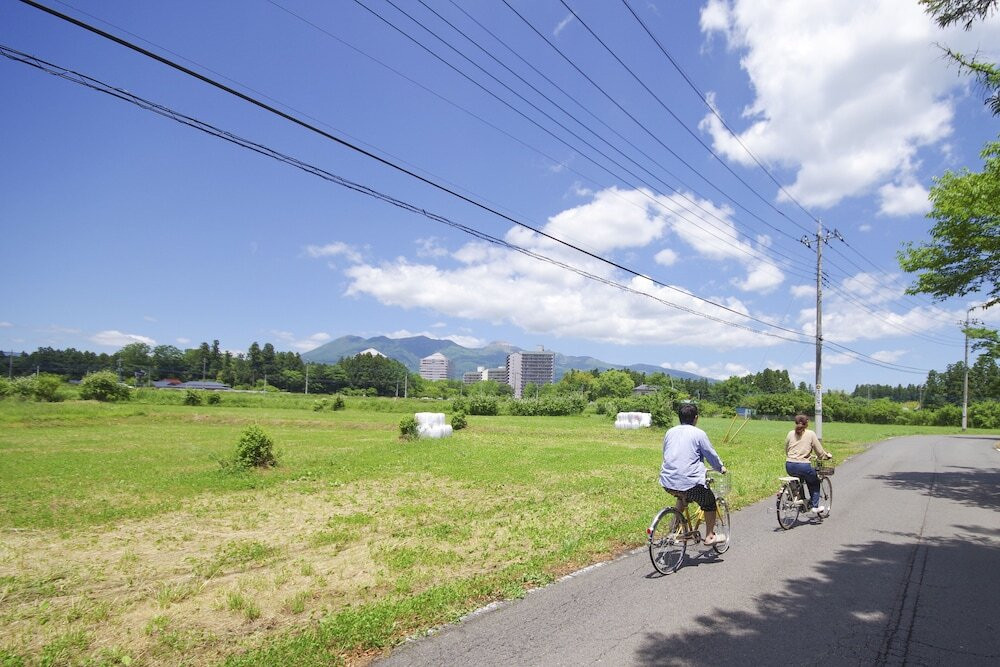 新緑に包まれた森林