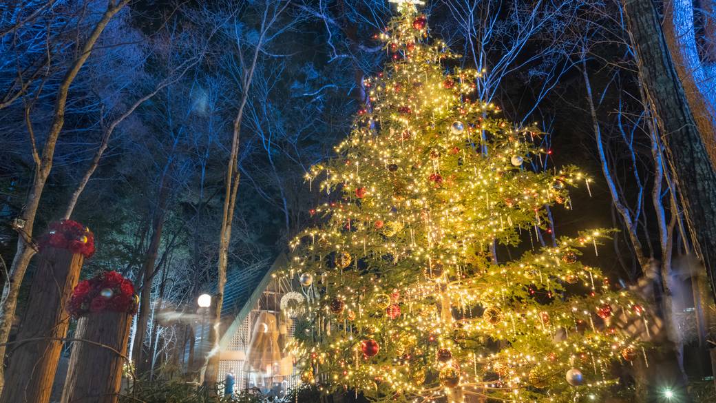 夜の厳かな教会で過ごす
キャンドルナイト / 1