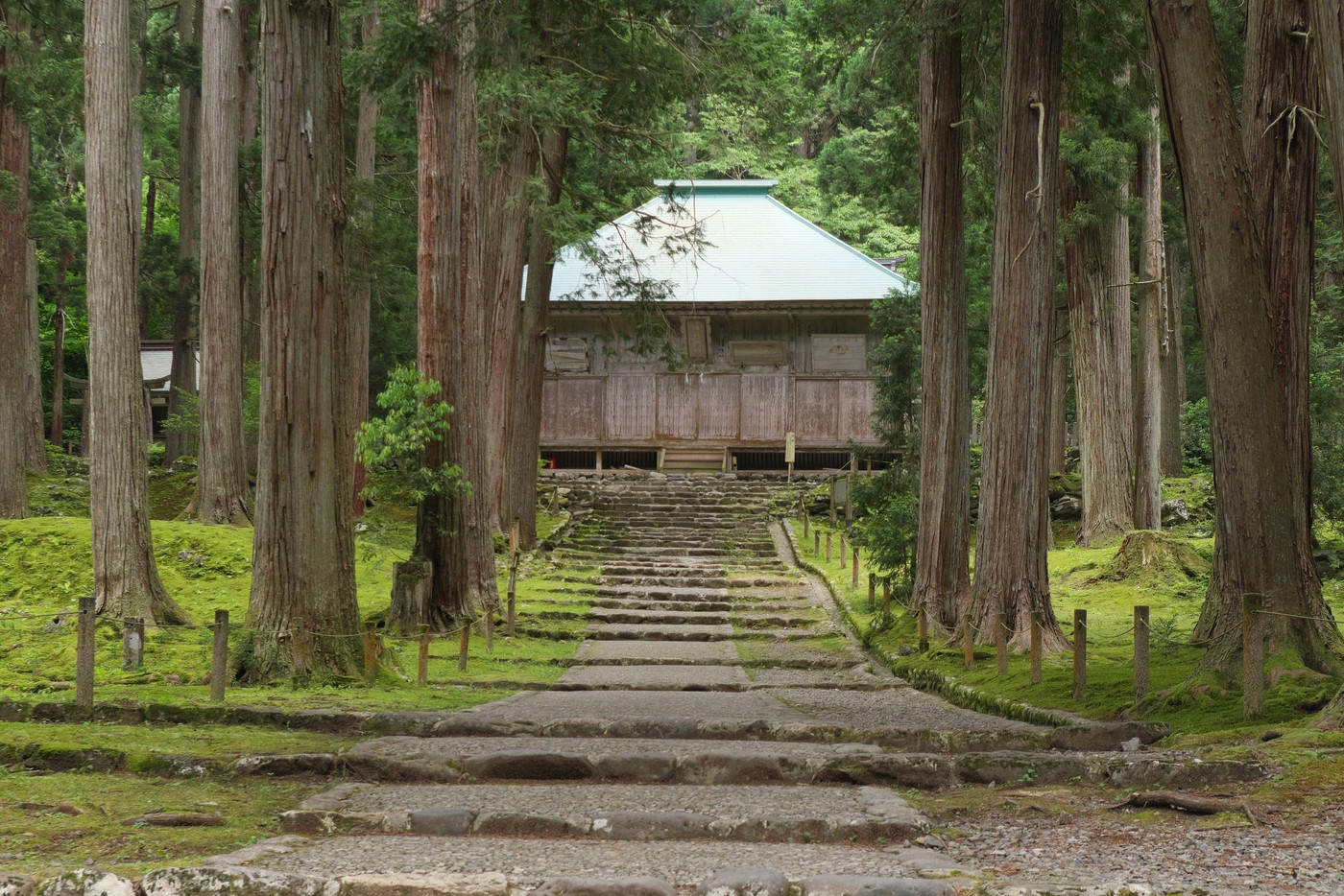 見どころ盛りだくさん「大野・勝山」エリアのおすすめ宿4087688