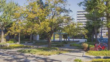 シティ ビュー / 15