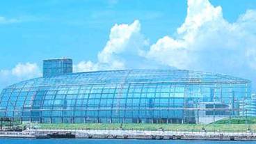 子供用の遊び場 - 屋内 / 9