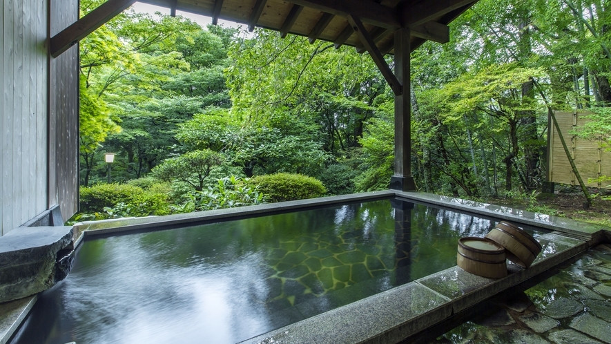 豊かな緑に囲まれた温泉宿で、70年余りの歴史に思いを馳せる3760239