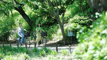 自転車 / 2