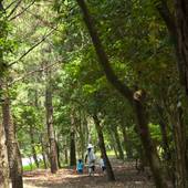 ラグゼ 一ッ葉 / コテージ・ヒムカ(宮崎県 リゾートホテル) / 4