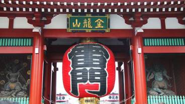 ランド ビュー / 36