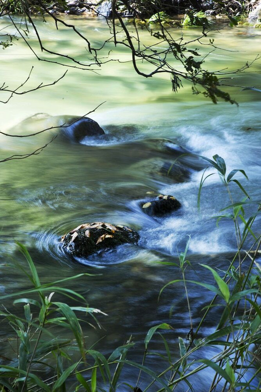 施設からの眺望