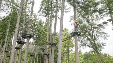 ロープ コース (チーム ビルディング用) / 8