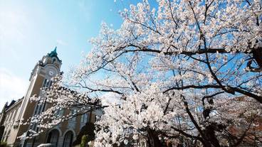 シティ ビュー / 9