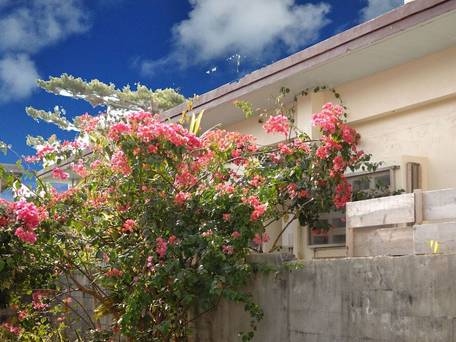 1日1組限定の宿 ゆくいる / 4