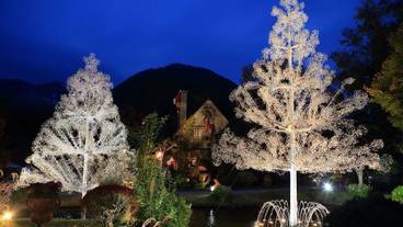 観光スポット / 8