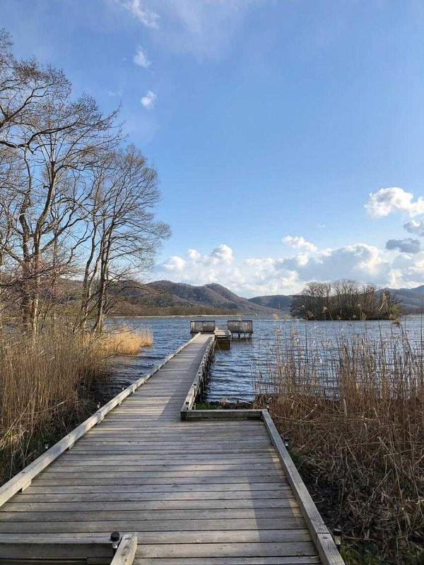 auaiieさんの写真 / 2