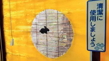 リビング エリア / 10