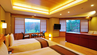 デラックススーペリアツイン マウンテンビュー