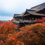 【王道＆定番】京都のおすすめ観光スポット20選｜縁結びや絶景スポットも♩