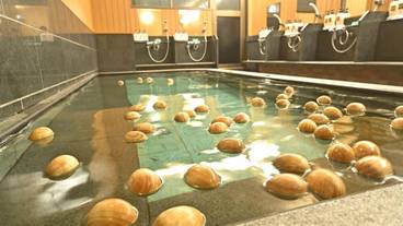 屋内スパ浴槽 / 2