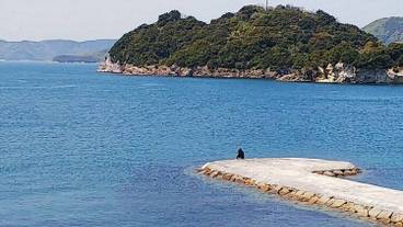 施設からの眺望 / 11