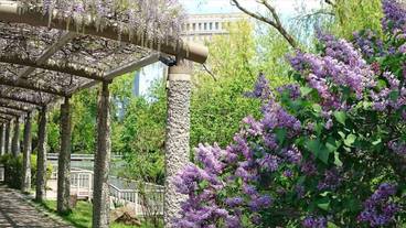 シティ ビュー / 20