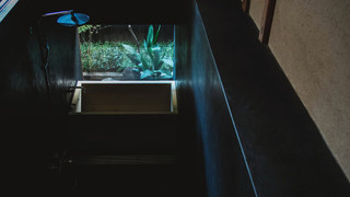 本館105:スキップフロア スーペリア クイーンベッド