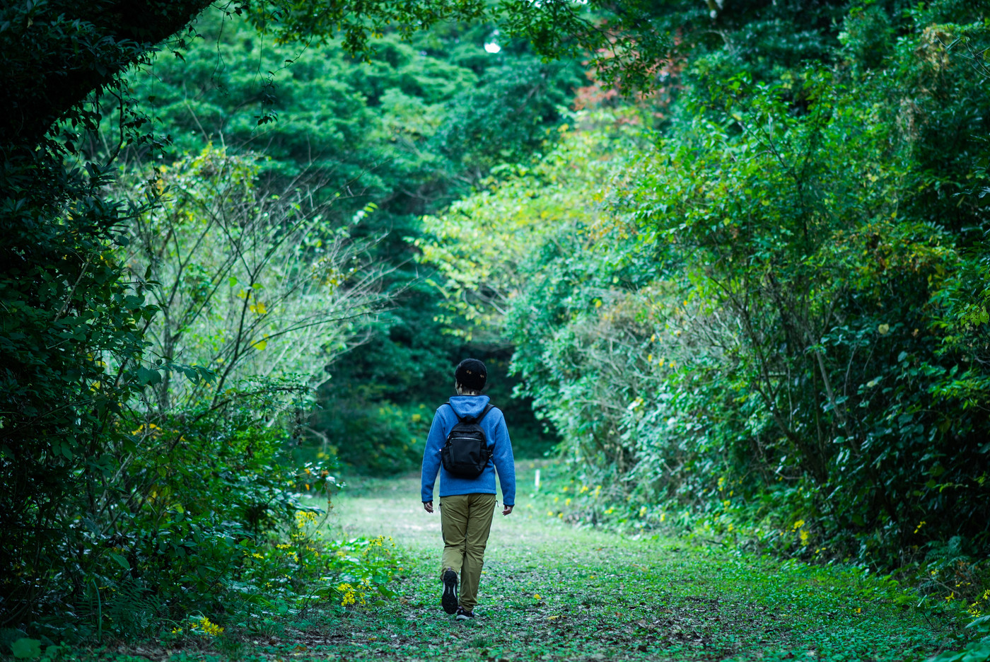 満天の星に出会える！唯一無二の風景3490059