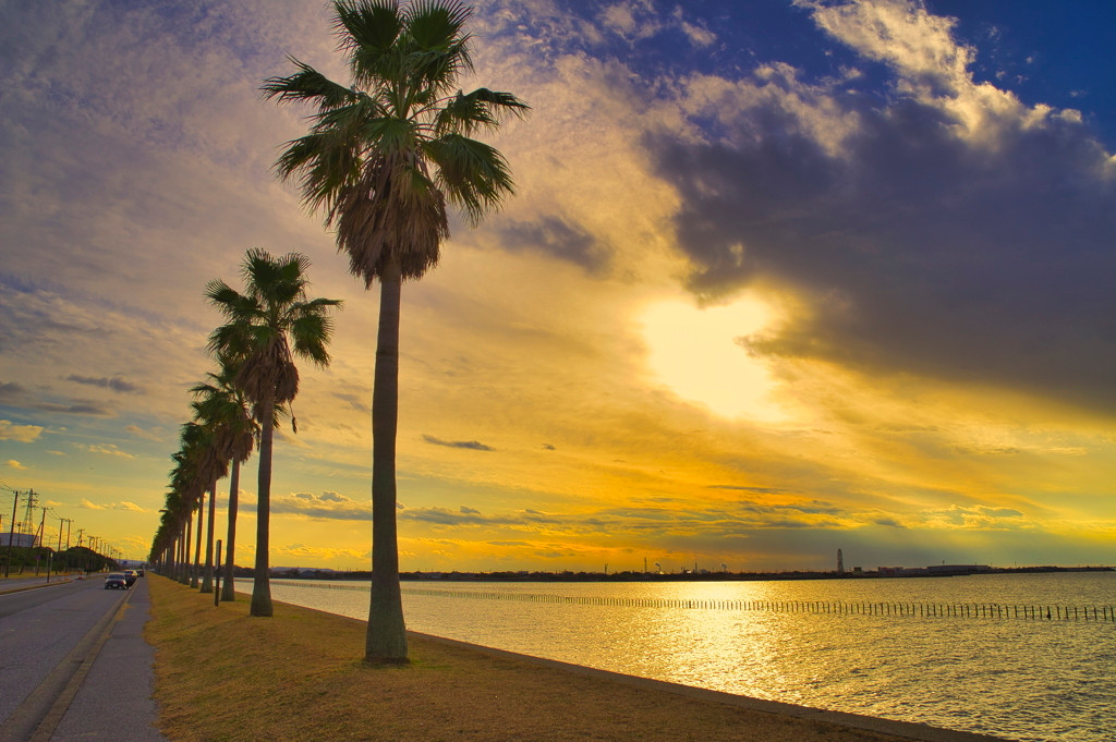 近場でリフレッシュするなら千葉に出かけよう♡3406394