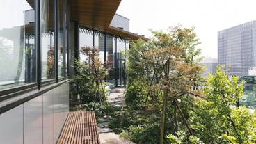 ホテル八重の翠東京（ホテルヤエノミドリトウキョウ） / 2