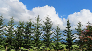 エコノミー ツインルーム 共用バスルーム