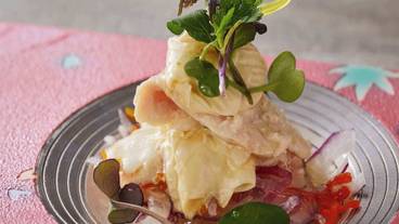 食事・飲み物 / 30