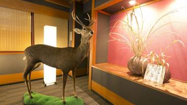 内部エントランス / 2