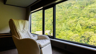 デラックス ツインルーム ベッド (複数台) マウンテンビュー